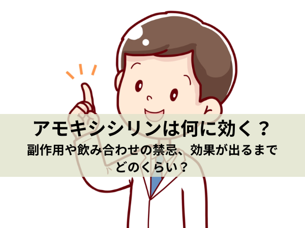 アモキシシリンは何に効く？副作用や飲み合わせの禁忌、効果が出るまでどのくらい？