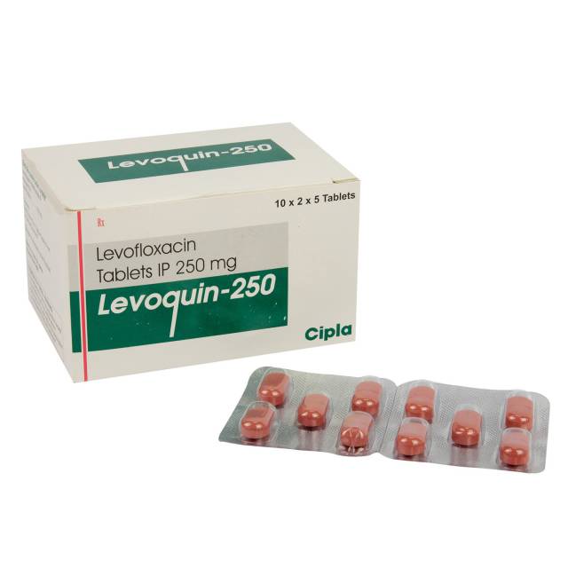 レボクイン(LEVOQUIN) 250mg 10錠　※クラビットのジェネリック