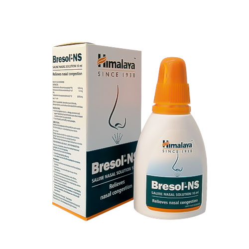 ブレソールNS(Bresol-NS) 鼻スプレー 10ml