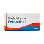 フェブシップ(Febucip) 40mg 10錠　※フェブリクのジェネリック