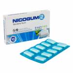 ニコガム(NICOGUM) 2mg 10個