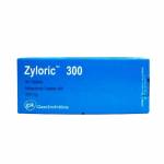 ザイロリック(ZYLORIC) 300mg 100錠62f371315be3c.jpg