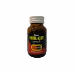 シラジット(SHILAJIT) 100カプセル6385ce8d41f7a.jpg