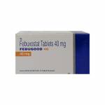 フェブグッド(Febugood) 40mg 100錠63eb14df5a9dd.jpg