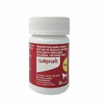 ガリプラント(Galliprant) 20mg 30錠63ec405399874.jpg