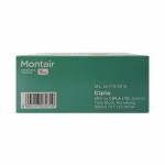 モンテア(Montair) 5mg 30錠63f4238987fbc.jpg