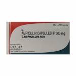 カンピシシリン(Campicilin) 500mg 100カプセル63f6bdd3520c7.jpg