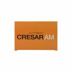 クレサーAM(Cresar AM) 40mg+5mg 30錠63f6c7c750de9.jpg