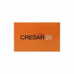 クレサー(Cresar) 20mg 30錠63f6c8ee1df24.jpg