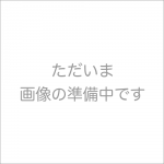 イオベット(Iobet) 点眼薬 0.5% 5ml63fc289f7680f.png